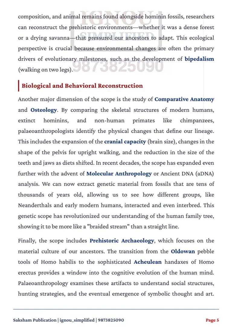 BANC-104 SOLVED ASSIGNMENT 2026-27 ENGLISH MEDIUM — BANC-104 IGNOU PDF download (3)