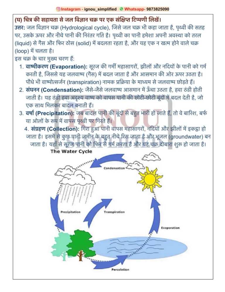BEVAE-181 SOLVED ASSIGNMENT 2026-27 HINDI MEDIUM — BEVAE-181 IGNOU PDF download (4)